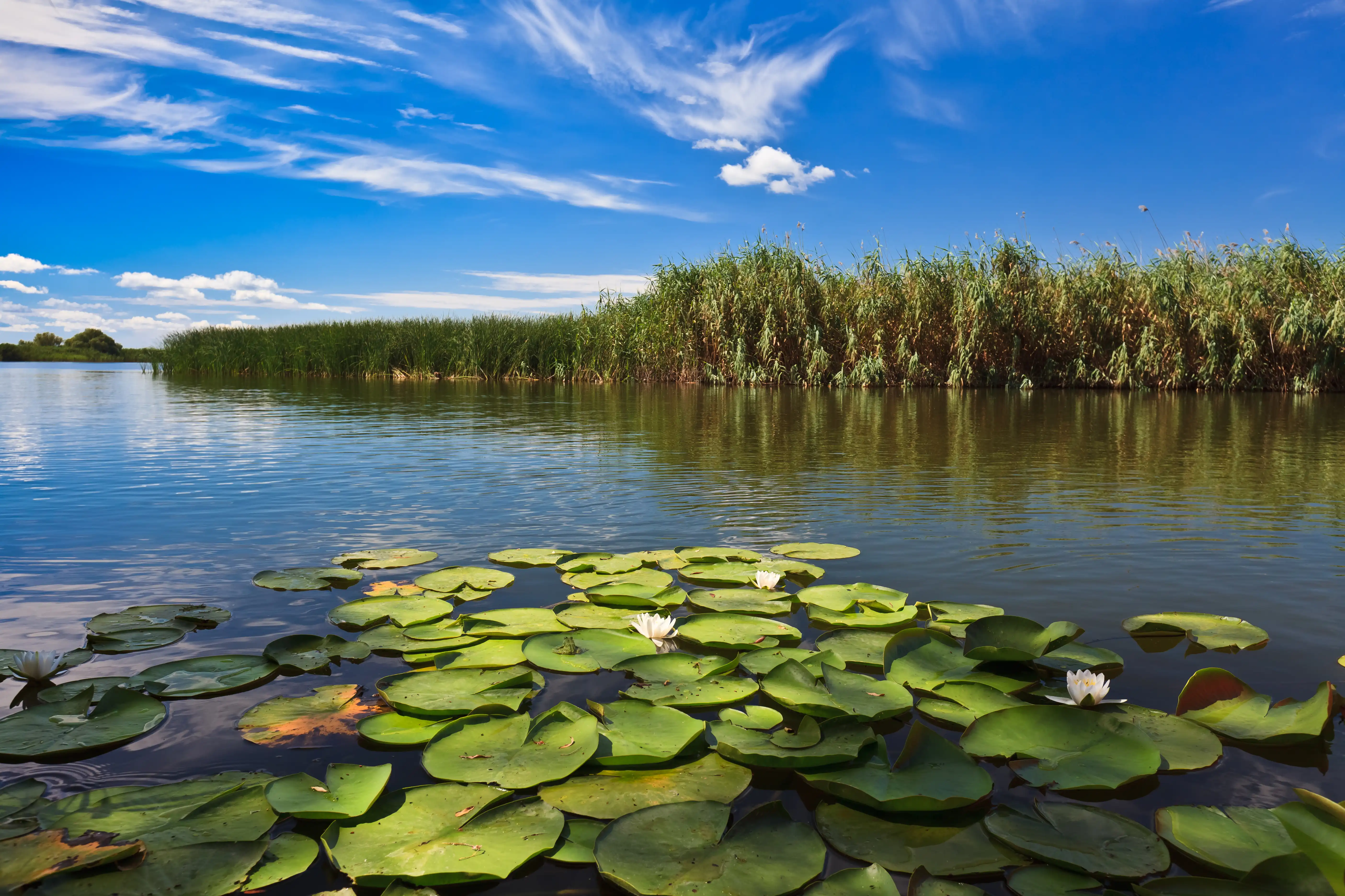 Danube Delta biosphere reserve